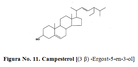 Campesterol [(3 β) -Ergost-5-en-3-ol]