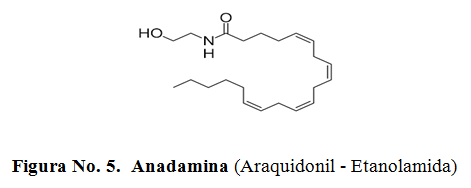 Anadamina (Araquidonil - Etanolamida)