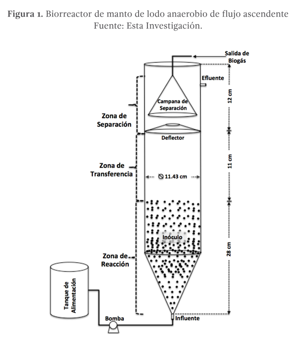 figura 1. Biorreactor de manto de lodo anaerobio de flujo ascendente