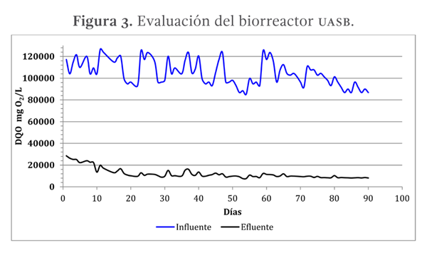 Figura 3. Evaluación del biorreactor UASB