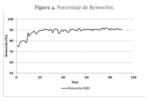 Figura 4. Porcentaje de Remoción