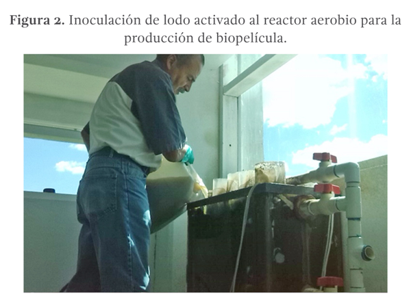Figura. 2. Inoculación de lodo activado al reactor aerobio para la producción de biopelícula.