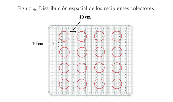 Figura 4. Distribución espacial de los recipientes colectores