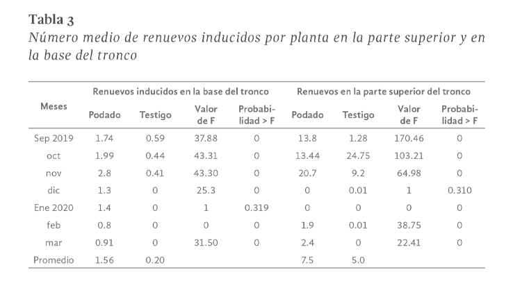 Imagen03