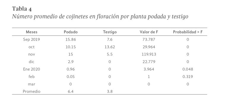 Imagen04