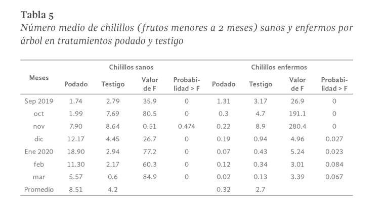 Imagen06