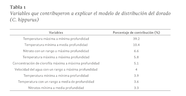 Imagen03