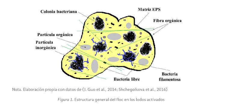 Imagen09