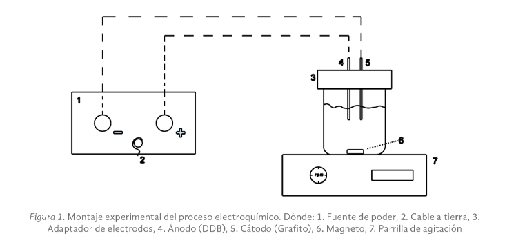 Imagen01