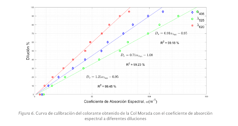 Imagen07