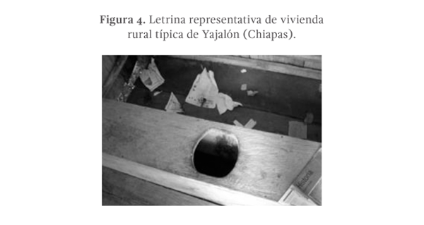Figura 4. Letrina representativa de vivienda rural típica de Yajalón (Chiapas).