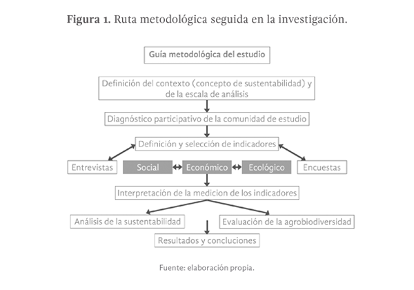 Figura 1. Ruta metodológica seguida en la investigación.