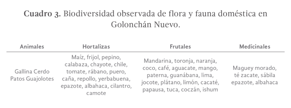 Cuadro 3. Biodiversidad observada de flora y fauna doméstica en Golonchán Nuevo.