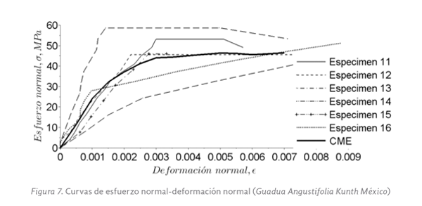 Figura 7. Curvas de esfuerzo normal-deformación normal (Guadua Angustifolia Kunth México)