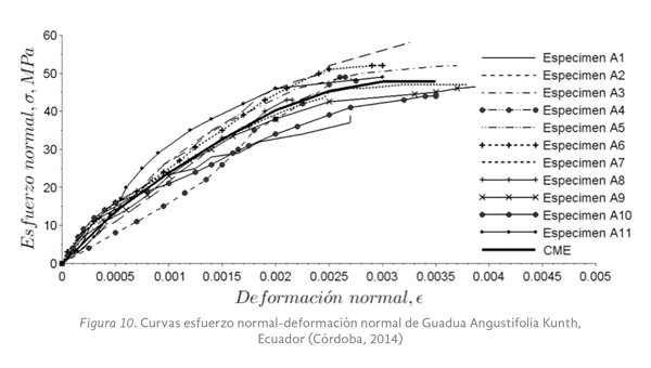 Figura 10. Curvas esfuerzo normal-deformación normal de Guadua Angustifolia Kunth, Ecuador (Córdoba, 2014)