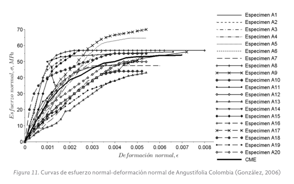 Figura 11. Curvas de esfuerzo normal-deformación normal de Angustifolia Colombia (González, 2006)