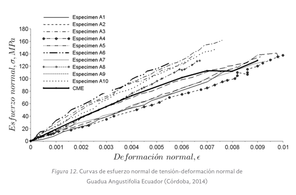 Figura 12. Curvas de esfuerzo normal de tensión-deformación normal de Guadua Angustifolia Ecuador (Córdoba, 2014)