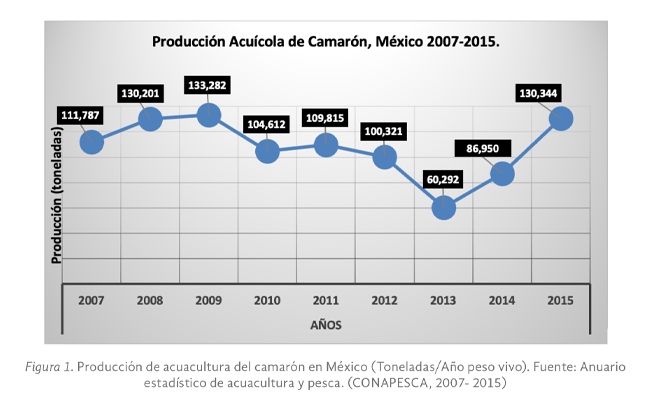 imagen1